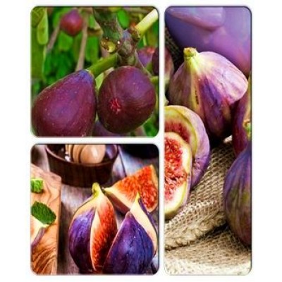 Инжир > коллекция из 3-х сортов: Инжир Киевский Крупноплодный => Инжир Крымский 44 => Инжир Медовый Инжир > коллекция из 3-х сортов: Инжир Киевский Крупноплодный => Инжир Крымский 44 => Инжир Медовый